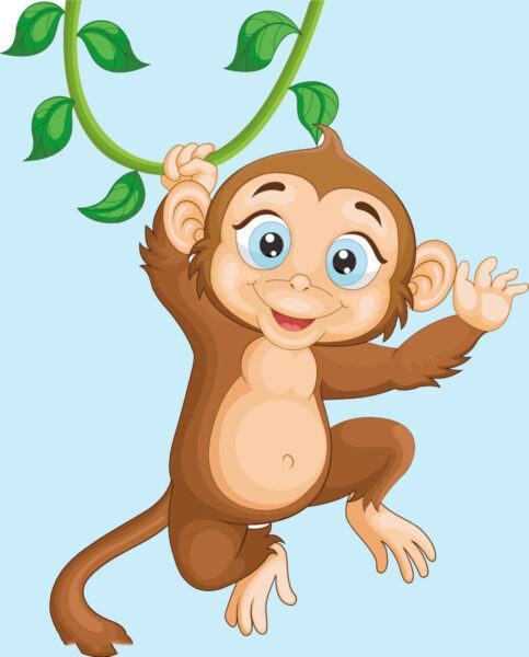 Hình ảnh con khỉ dễ thương, cute, ngộ nghĩnh, đẹp nhất, chú khỉ dễ thương