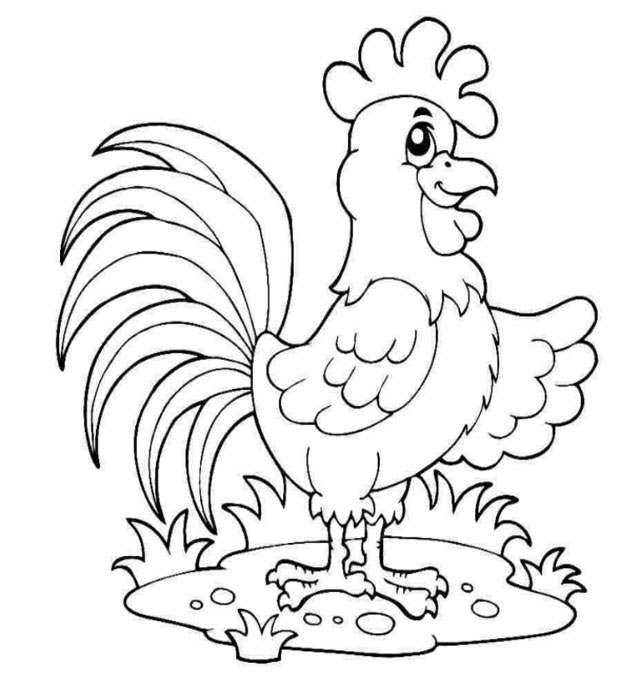 Hình vẽ con gà hình tô màu con gà trống gà mái cho bé đẹp nhất  VFOVN
